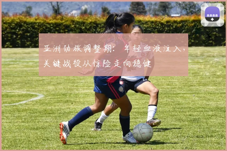 亚洲劲旅调整期：年轻血液注入，关键战役从惊险走向稳健 - 懂球帝推荐